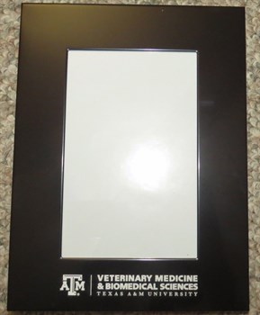 SCAVMA AUX - PictureFrame SCAVMA AUX - PictureFrame